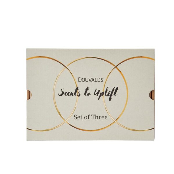 Scents to Uplift Gift set | Set of three home scents to revitalise and refresh - Image 4